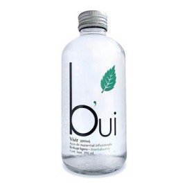 Agua de Manantial BUI infusionada Hierbabuena 24/290ml
