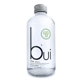 Agua de Manantial BUI infusionada Pepino 24/290ml
