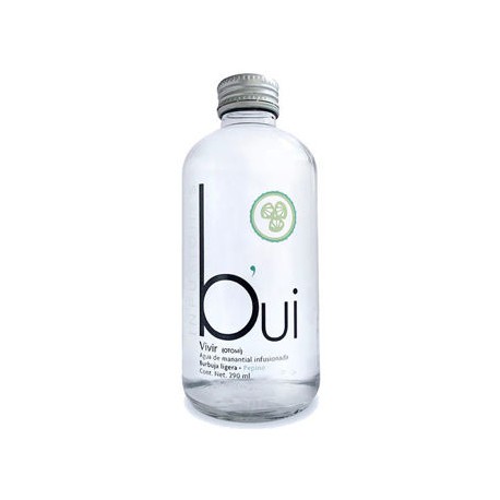 Agua de Manantial BUI infusionada Pepino 24/290ml
